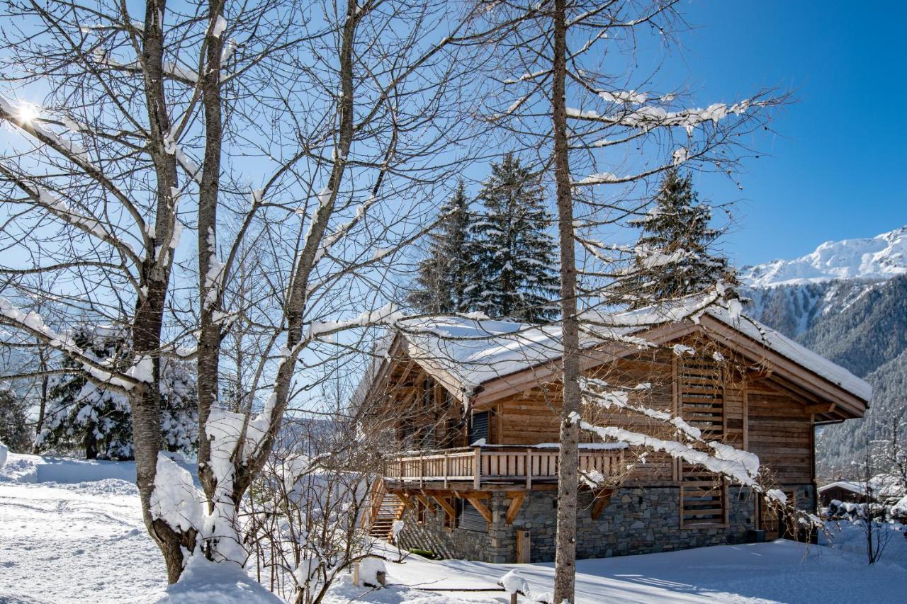 Chalet Black Squirrel Chalet Chamonix Mont Blanc